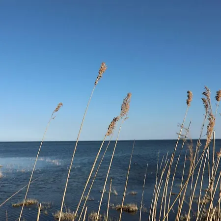 Schloss Am Haff Apartamento Stolpe auf Usedom